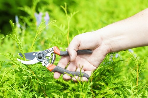 Professional lawn mower maintaining a green lawn