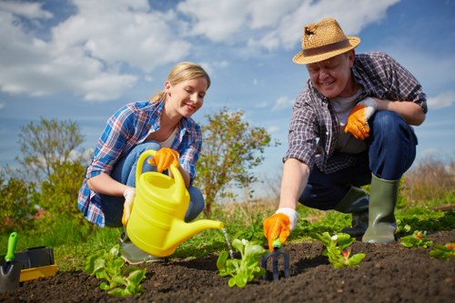 Healthy compost pile created from collected green waste