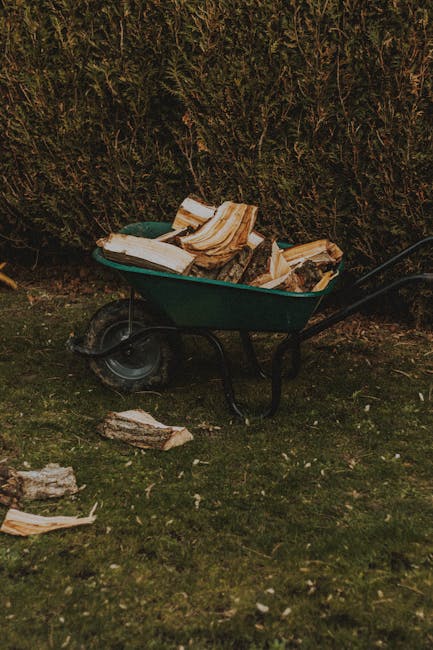 A green wheelbarrow filled with split logs and small wood pieces, positioned on a grassy lawn with some scattered bark and wood debris around it. Behind the wheelbarrow, a dense, well-trimmed hedge pr