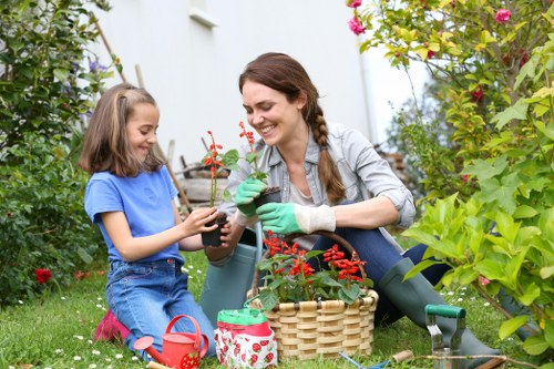 Expert garden designer planning a layout